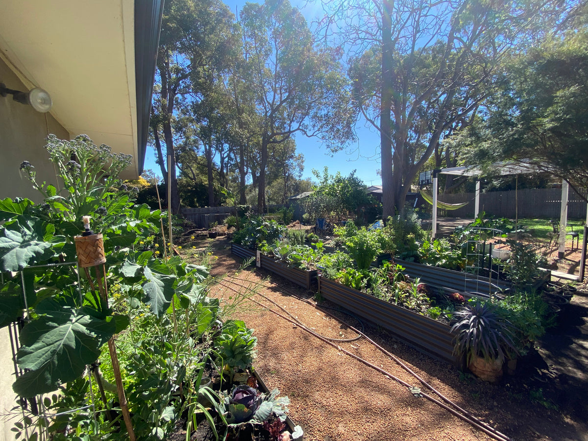 Garden Walkthrough
