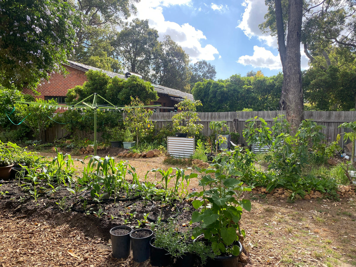 Redox Garden Blueprint