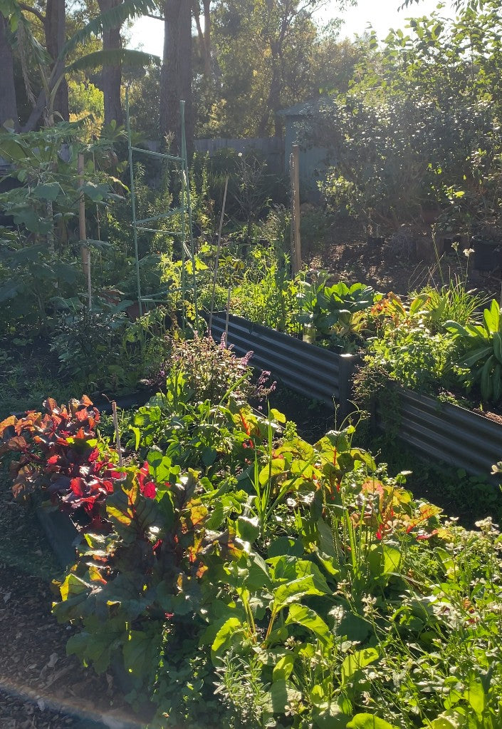Vegetables